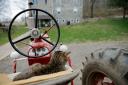 Tractor Cat