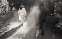 Lady Walking a Mule